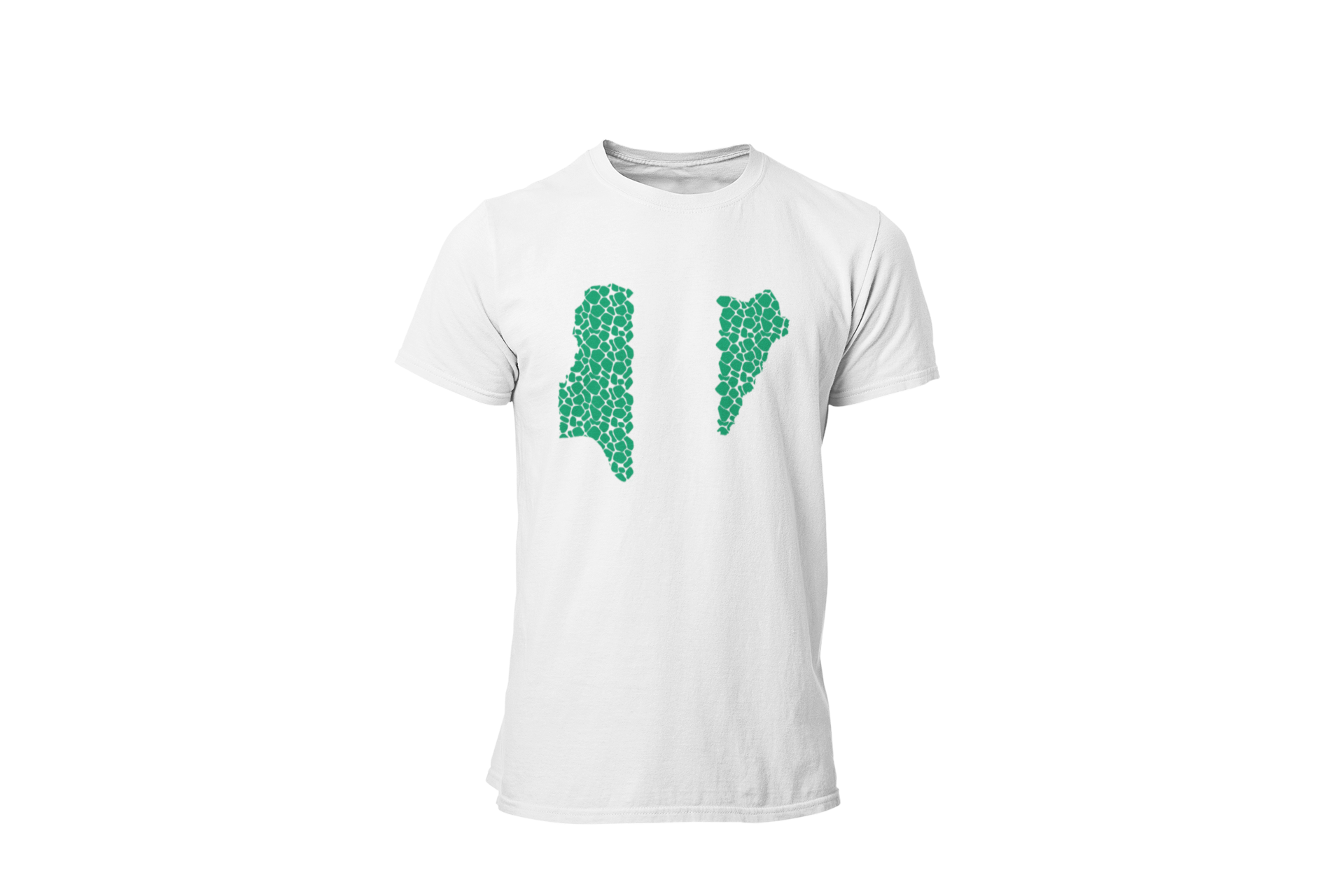 From the Soils of Nigeria T-shirt